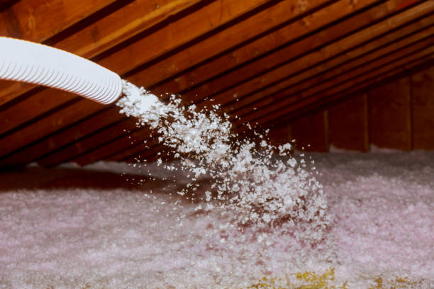 Best Spray Foam Insulation  in Easton, MD